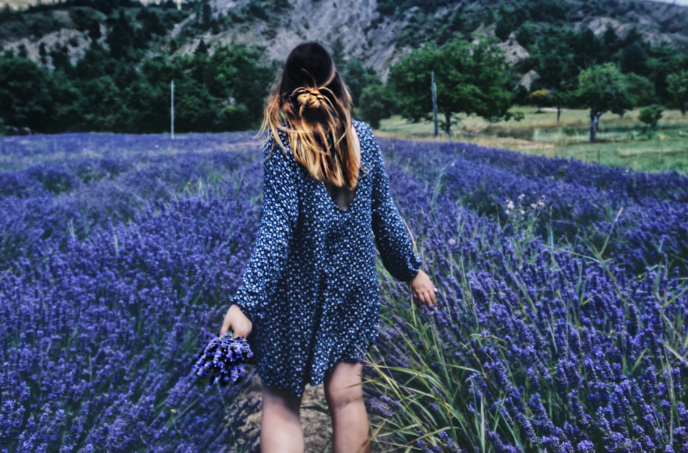 Reisen zum Lavendel, Lavendelfelder in der Provence, Frankreich, Felder, Abenteuer, Reiseziele Europa