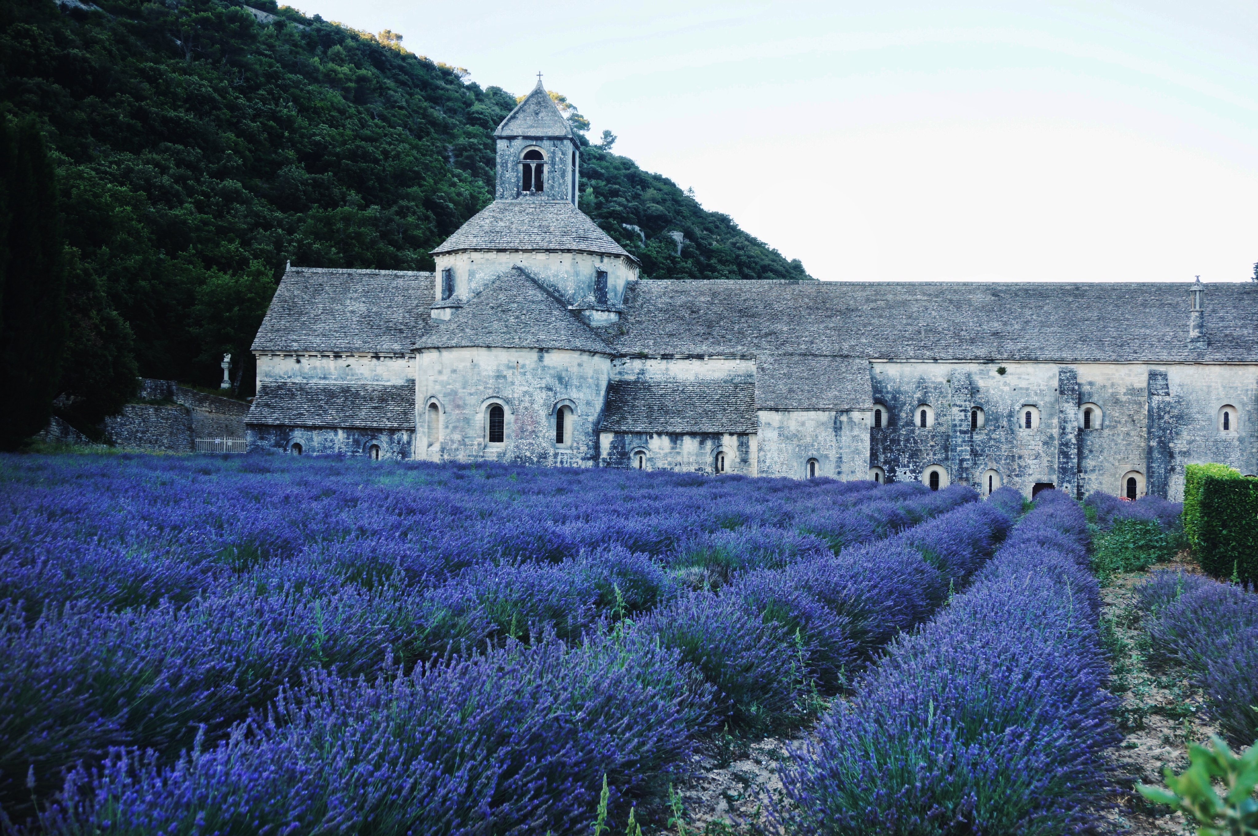 Frankreich Sehenswürdigkeiten, Provence, Lavendel, Kirchen, Urlaub, Reisen, Lavendelfelder Urlaub, Senauqe, Abbaye